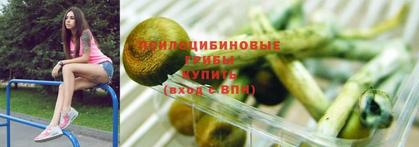 круглые Алзамай