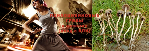 наркотики Алексин